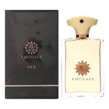 AMOUAGE DIA EDP POUR HOMME 100ML MEN